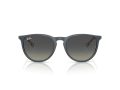 Ray-Ban Erika Sunčane Naočale RB 4171 681311