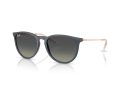Ray-Ban Erika Sunčane Naočale RB 4171 681311