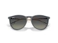 Ray-Ban Erika Sunčane Naočale RB 4171 681311