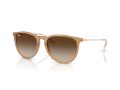 Ray-Ban Erika Sunčane Naočale RB 4171 681413