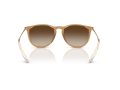 Ray-Ban Erika Sunčane Naočale RB 4171 681413