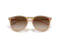 Ray-Ban Erika Sunčane Naočale RB 4171 681413