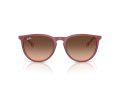 Ray-Ban Erika Sunčane Naočale RB 4171 6815A5