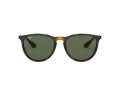 Ray-Ban Erika Sunčane Naočale RB 4171 710/71