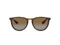 Ray-Ban Erika Sunčane Naočale RB 4171 710/T5