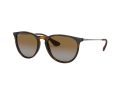 Ray-Ban Erika Sunčane Naočale RB 4171 710/T5