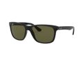 Ray-Ban Rb4181 Sunčane Naočale RB 4181 601/9A