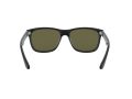 Ray-Ban Rb4181 Sunčane Naočale RB 4181 601/9A