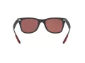 Ray-Ban Scuderia Ferrari Collection Sunčane Naočale 4195M F602H2