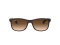 Ray-Ban Andy Sunčane Naočale RB 4202 6073/13