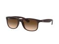 Ray-Ban Andy Sunčane Naočale RB 4202 6073/13