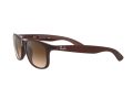 Ray-Ban Andy Sunčane Naočale RB 4202 6073/13