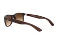 Ray-Ban Andy Sunčane Naočale RB 4202 6073/13
