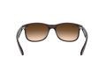 Ray-Ban Andy Sunčane Naočale RB 4202 6073/13