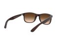 Ray-Ban Andy Sunčane Naočale RB 4202 6073/13