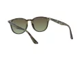 Ray-Ban Sunčane Naočale 4259 731/E8