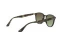 Ray-Ban Sunčane Naočale 4259 731/E8