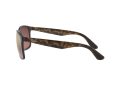Ray-Ban Sunčane Naočale RB 4264 894/6B