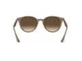 Ray-Ban Sunčane Naočale 4305 616613