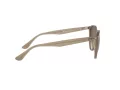 Ray-Ban Sunčane Naočale 4305 616613