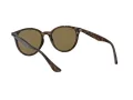 Ray-Ban Sunčane Naočale 4305 710/73