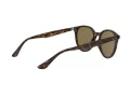 Ray-Ban Sunčane Naočale 4305 710/73