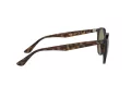 Ray-Ban Sunčane Naočale 4305 710/73