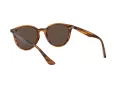 Ray-Ban Sunčane Naočale 4305 820/73