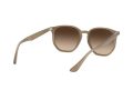 Ray-Ban Sunčane Naočale RB 4306 6166/13