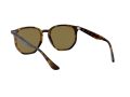 Ray-Ban Sunčane Naočale RB 4306 710/73