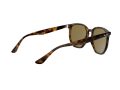 Ray-Ban Sunčane Naočale RB 4306 710/73