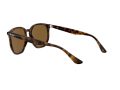 Ray-Ban Sunčane Naočale RB 4306 710/83