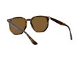 Ray-Ban Sunčane Naočale RB 4306 710/83