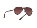 Ray-Ban Sunčane Naočale RB 4320/CH 710/6B