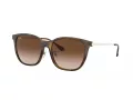 Ray-Ban Sunčane Naočale 4333D 710/13