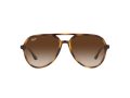 Ray-Ban Sunčane Naočale RB 4376 710/13