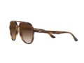 Ray-Ban Sunčane Naočale RB 4376 710/13