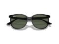 Ray-Ban Sunčane Naočale RB 0RB4378 601/71