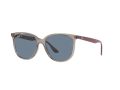 Ray-Ban Sunčane Naočale RB 4378 6572/2V
