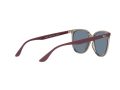 Ray-Ban Sunčane Naočale RB 4378 6572/2V