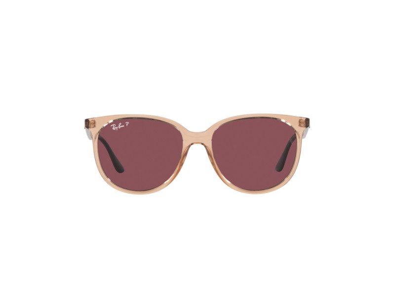 Ray-Ban Sunčane Naočale RB 4378 6602/5Q