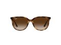 Ray-Ban Sunčane Naočale RB 4378 710/13