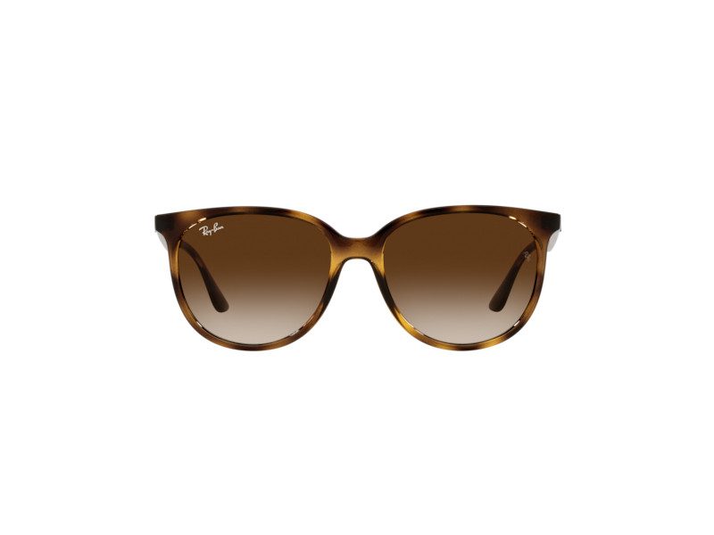 Ray-Ban Sunčane Naočale RB 4378 710/13