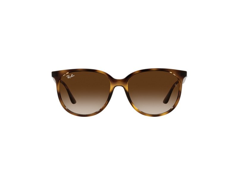 Ray-Ban Sunčane Naočale RB 4378 710/13