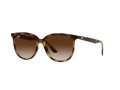 Ray-Ban Sunčane Naočale RB 4378 710/13