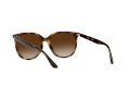 Ray-Ban Sunčane Naočale RB 4378 710/13