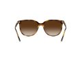 Ray-Ban Sunčane Naočale RB 4378 710/13