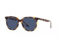 Ray-Ban Sunčane Naočale RB 4378 710/80
