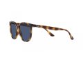Ray-Ban Sunčane Naočale RB 4378 710/80