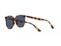 Ray-Ban Sunčane Naočale RB 4378 710/80